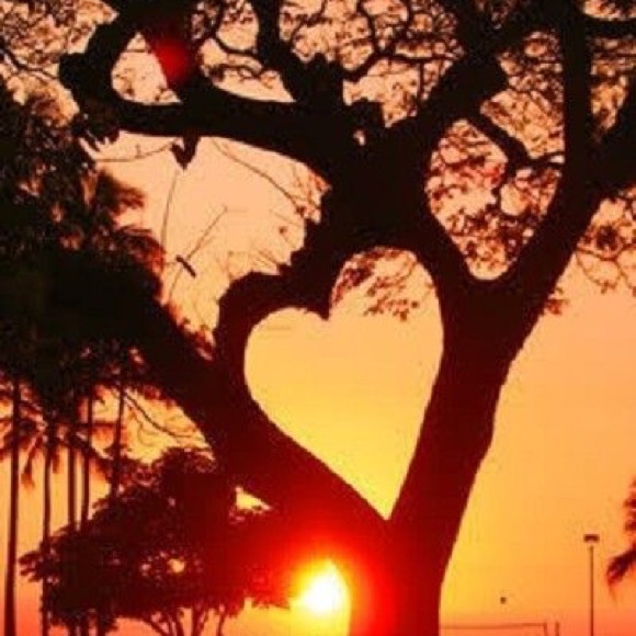 Men’s & women’s clothing - Picture 2 of 6